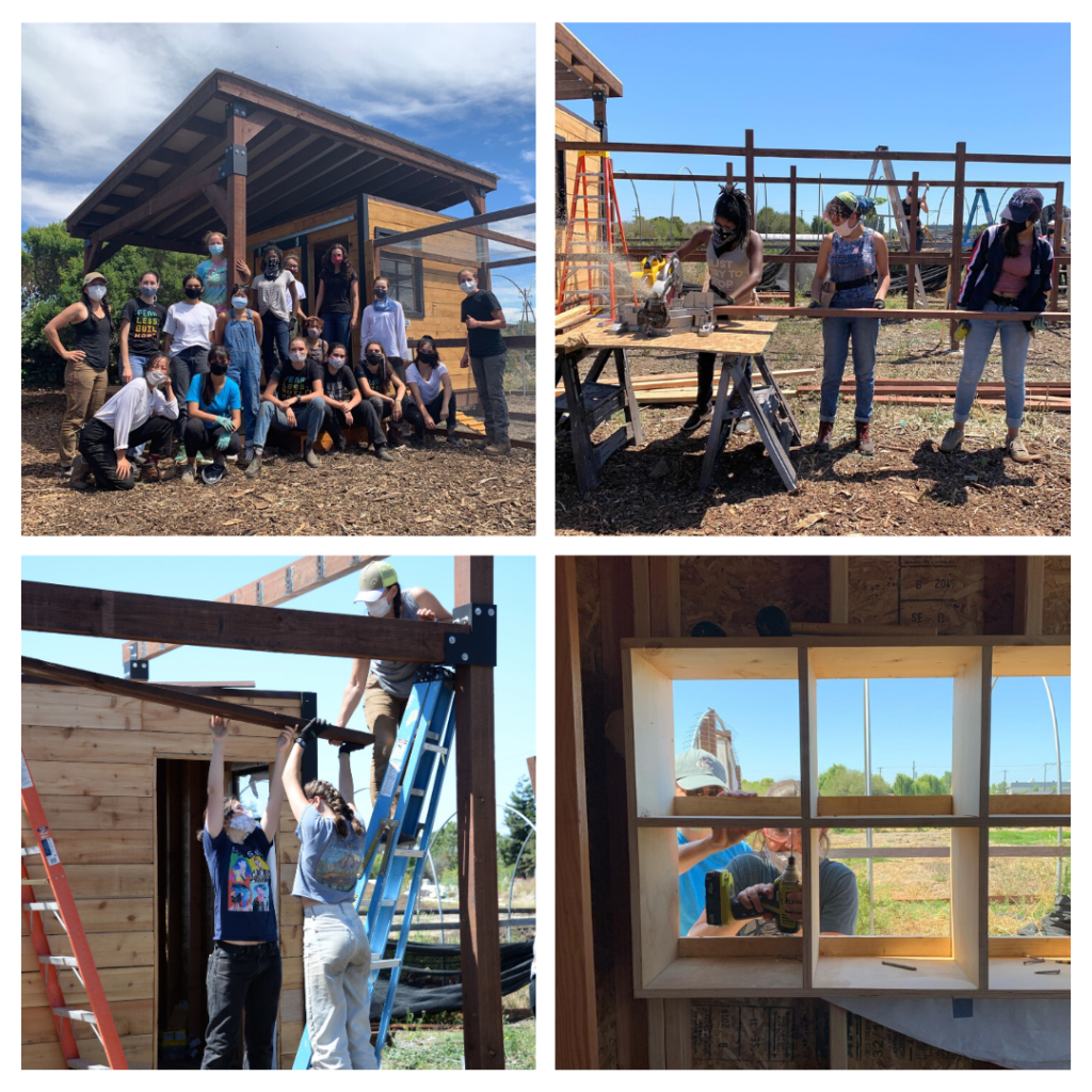 working on chicken coop