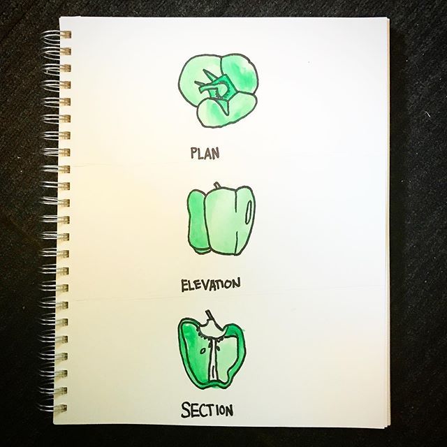 plan section elevation