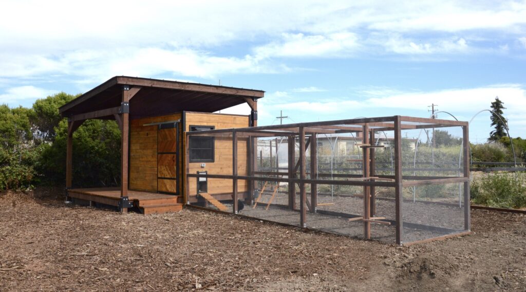 Urban Tilth chicken pavilion