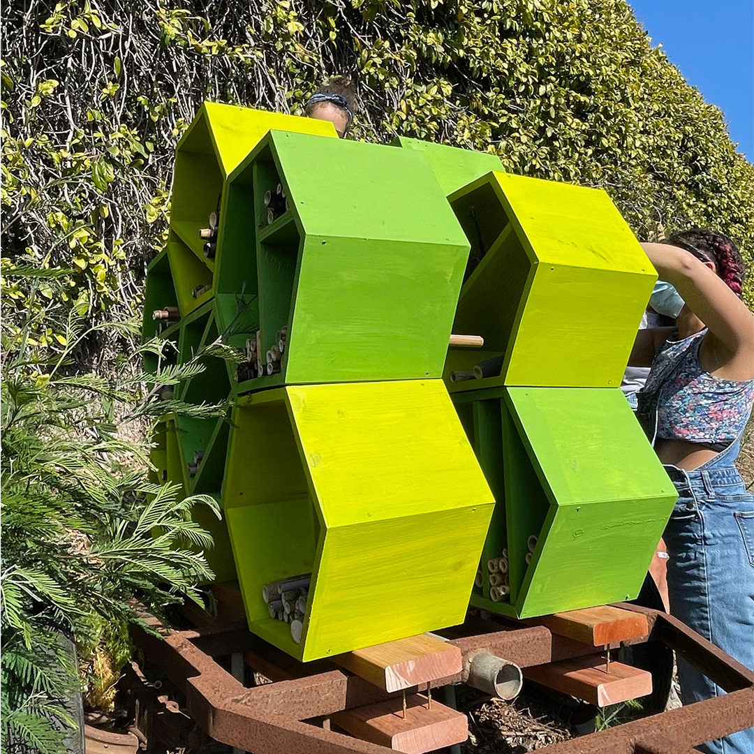 Advanced Design/Build Girls Garage bee box installation