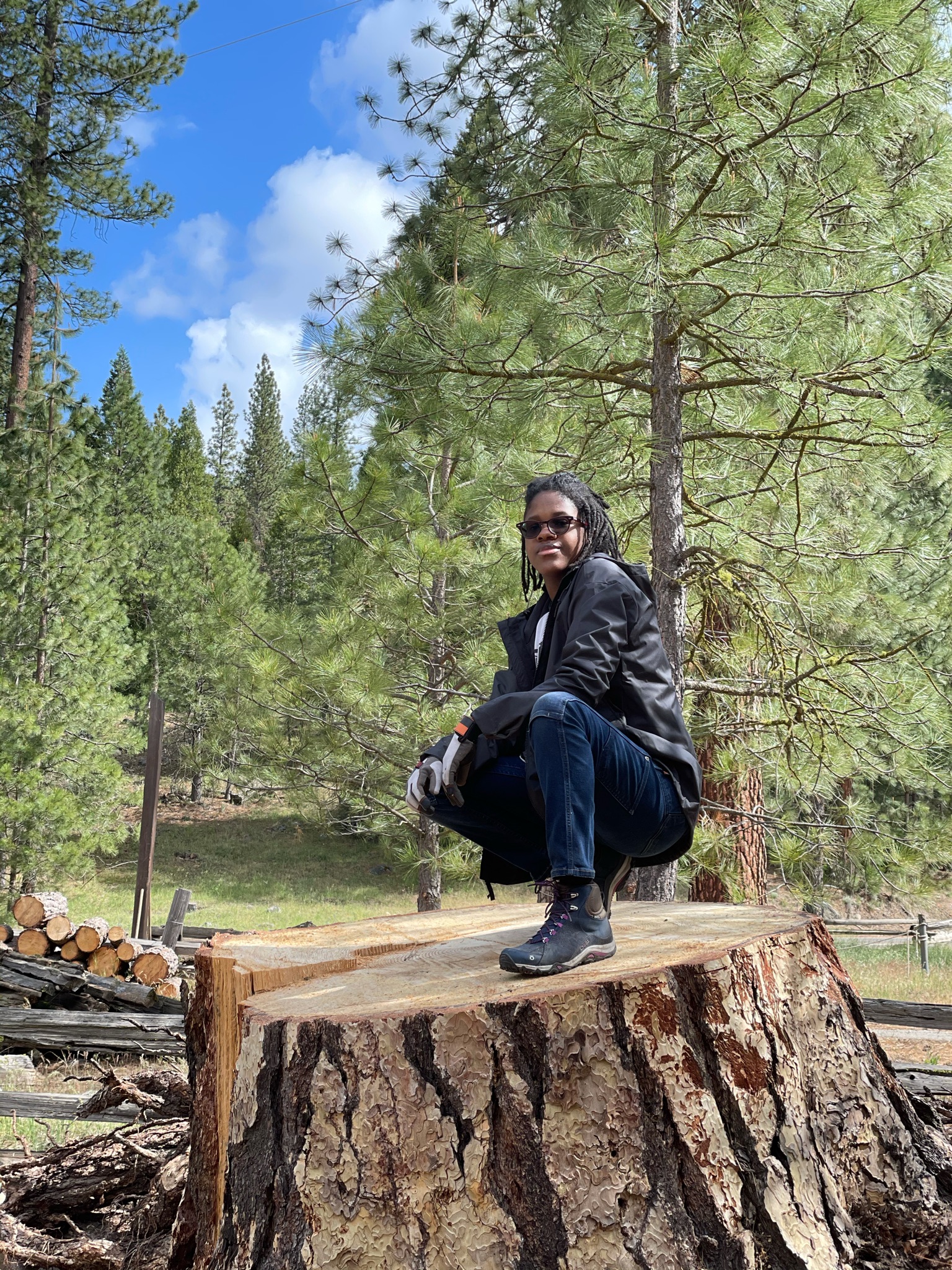 Advanced Design/Build in Yosemite National Park