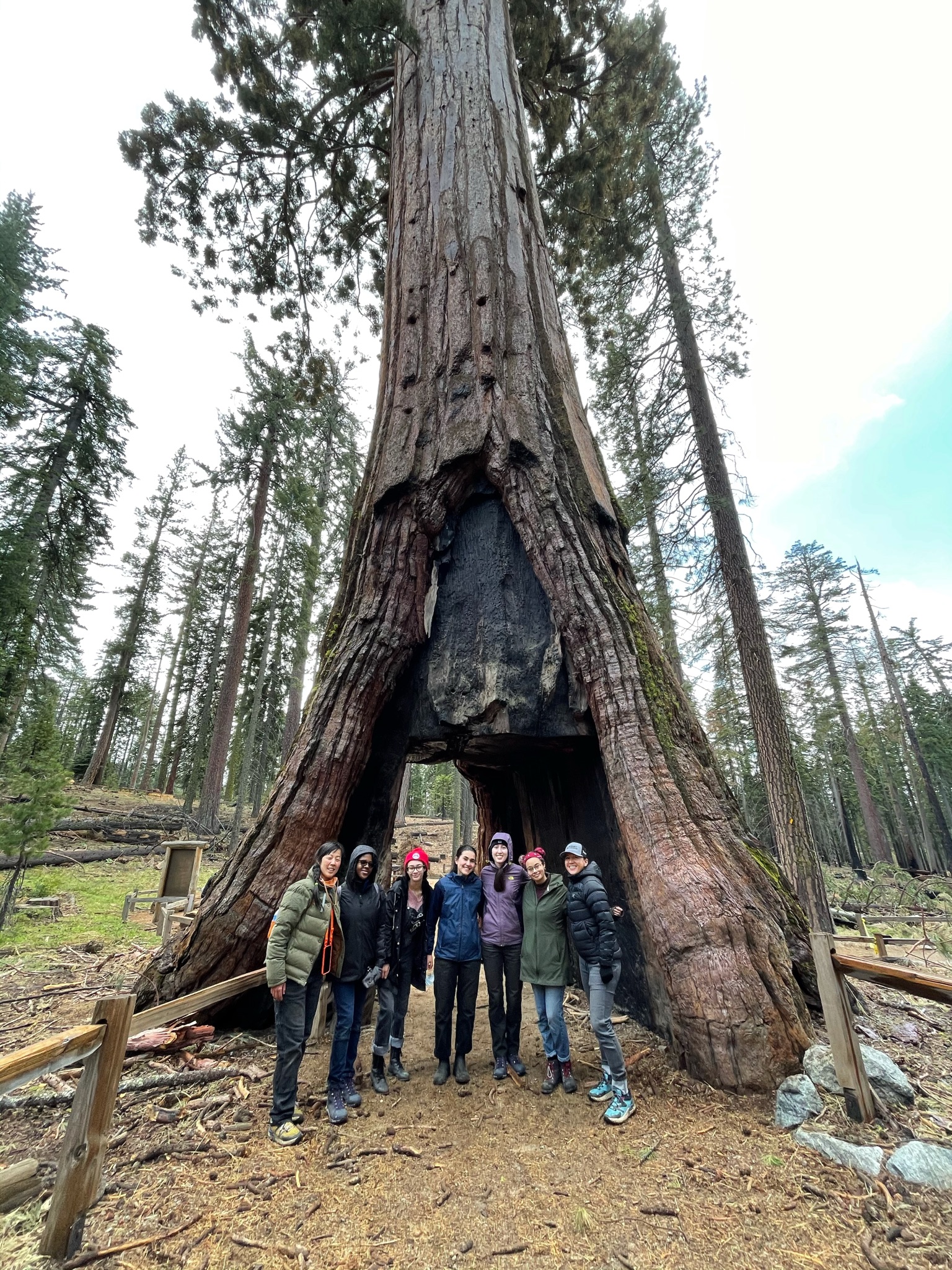 Girls Garage posing in front of a redwood at Yosemite National Park